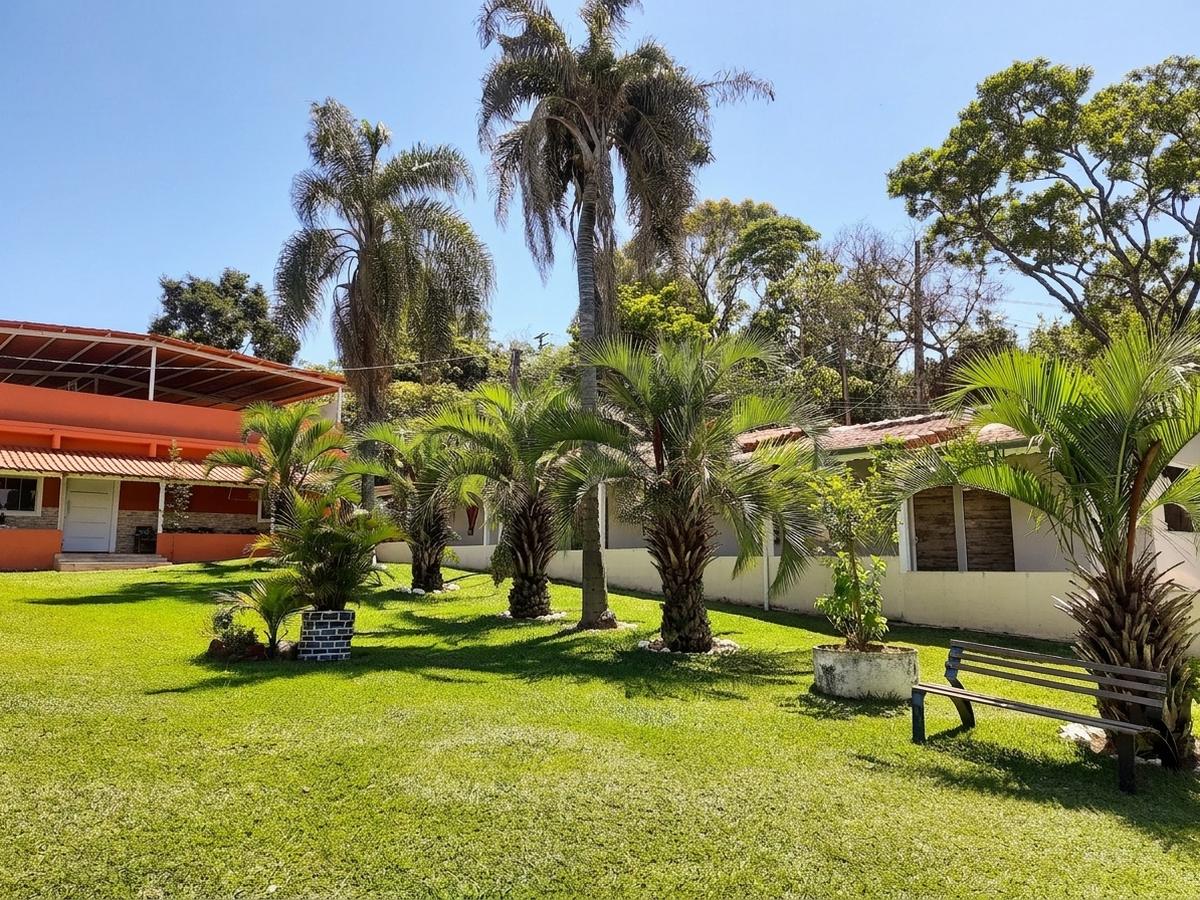 Jardim da pousada com palmeiras e bancos de madeira no gramado